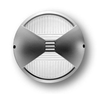 tortuga IBIZA MOÑO  Delta