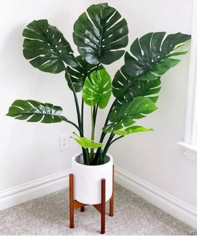 PLANTA MONSTERA 40867 - 100 CM grass