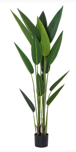 PLANTA STRELITZIA 40725 - 150 CM grass