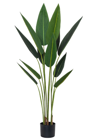 Planta STRELITZIA 40724 - 130 CM grass