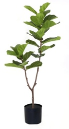 [HOJA DE VIOLIN 1093] PLANTA HOJA DE VIOLIN 1093 - 155 CM grass